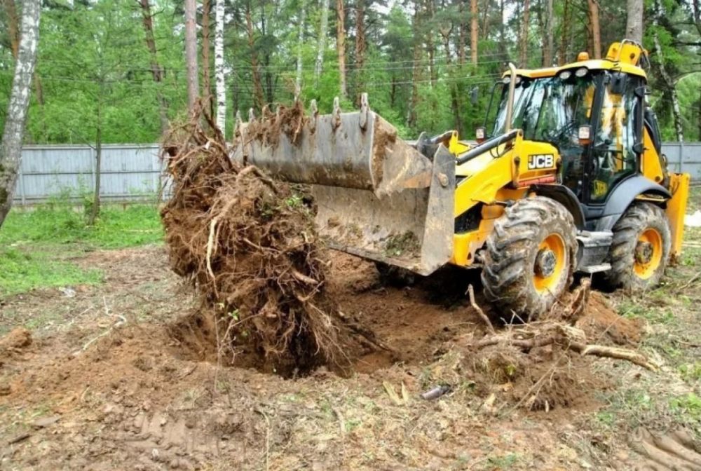 Удаление пней и корчевание вручную и со спецтехникой стоимость услуг и где заказать - Нальчик