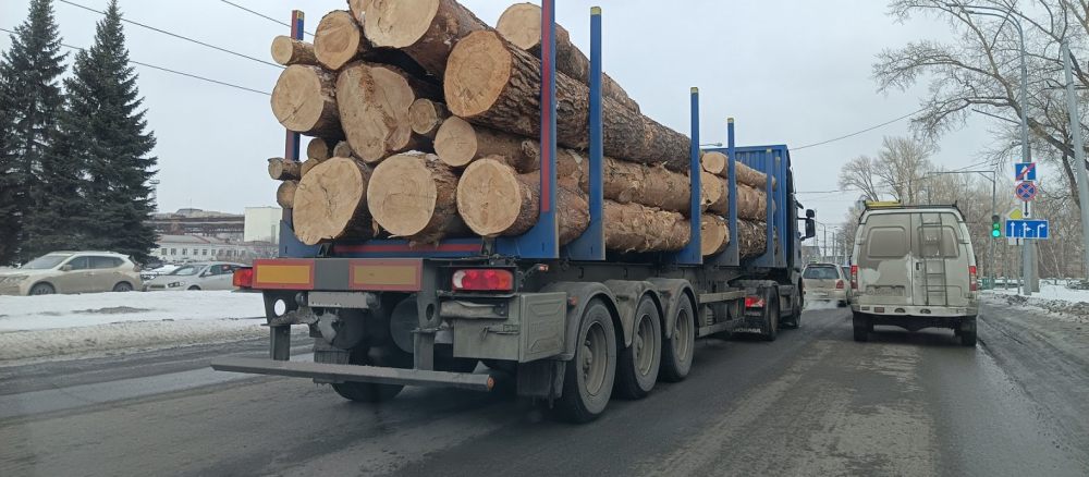 Поиск транспорта для перевозки леса, бревен и кругляка стоимость услуг и где заказать - Нальчик