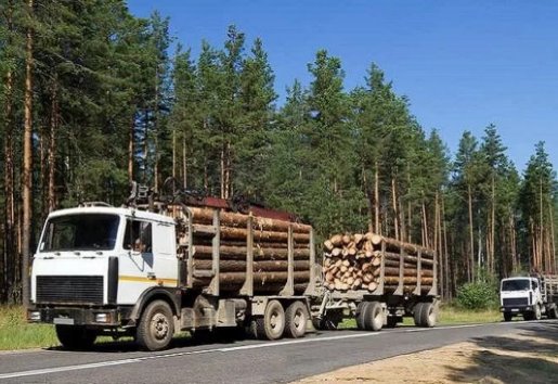 Лесовоз Лесовозы для перевозки леса, аренда и услуги. взять в аренду, заказать, цены, услуги - Советское